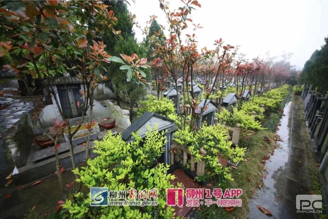 柳报传媒微报:主动送墓位?柳州这个公墓如此"大手笔,看完原因很暖心
