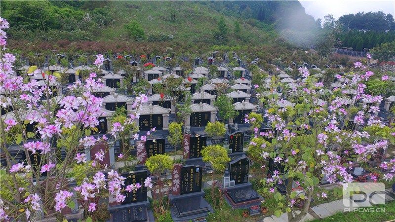 柳州市月山公墓